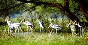 Bharatpur
