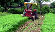 The Rural Transformation - Farming