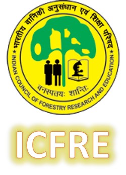 Activities related to Saw Mills