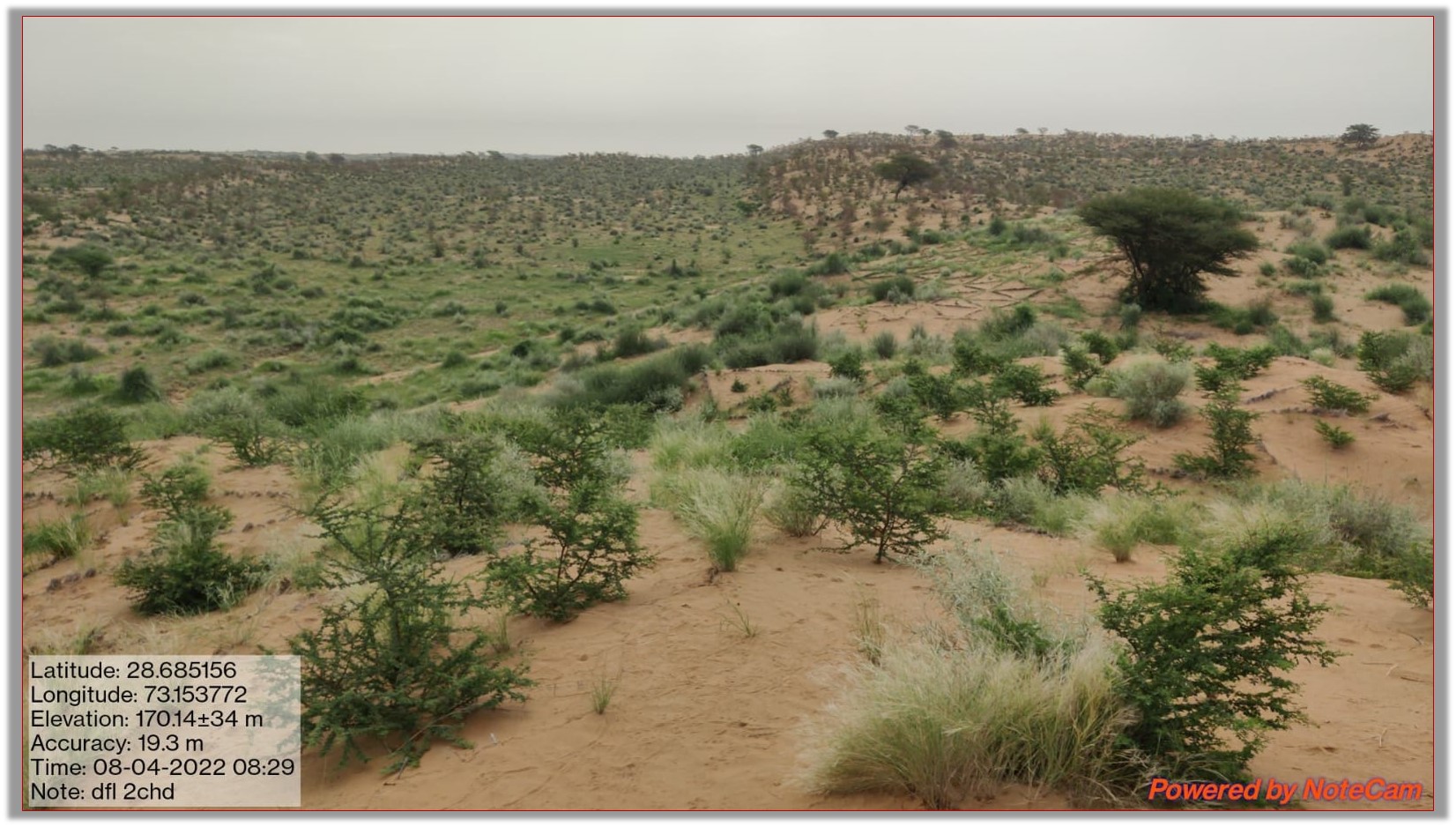 CA-DFL Plantation at 2 CHD (10.02 Ha.)  in Chhattargarh Division (Year 2021-22)Picture%202.jpg