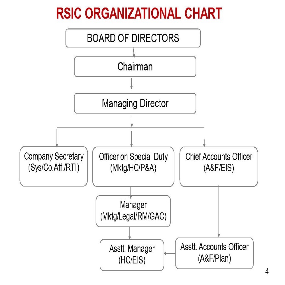 RSIC Organisation Chart